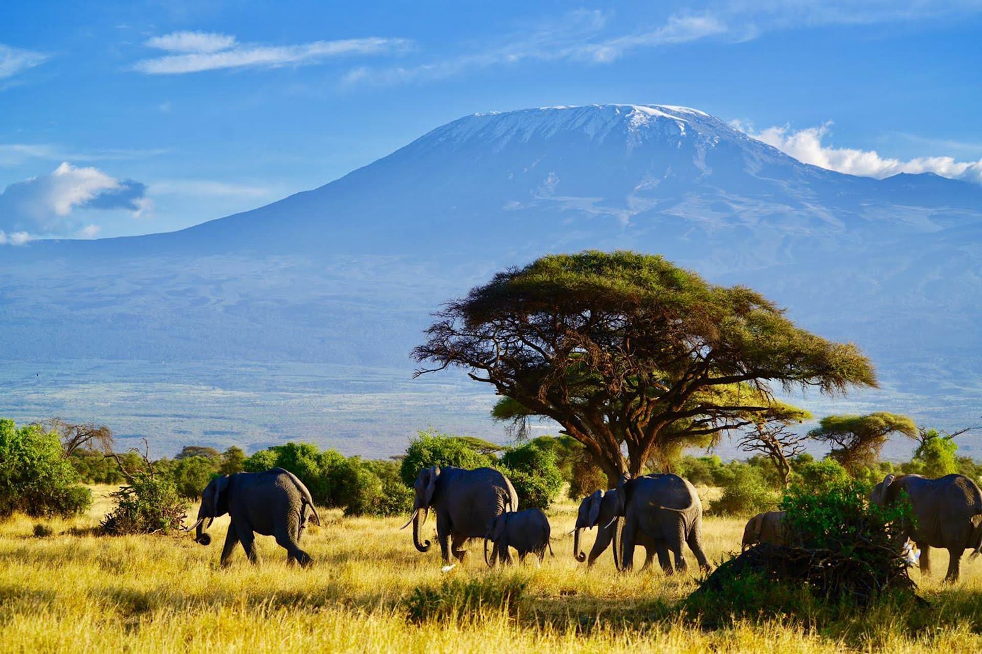 Mount_Kilimanjaro_03