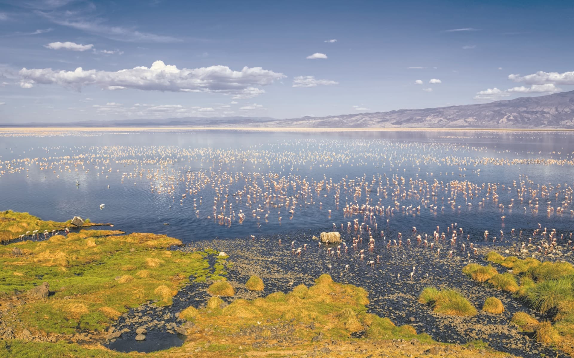 lake-magadi-03